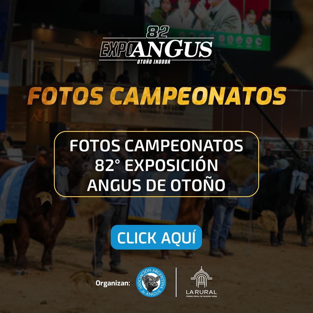 FOTOS CAMPEONATOS 82 EXPO ANGUS DE OTOÑO